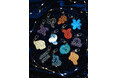 アップサイクルブランド・NEWSEDより新製品「Re:Acryl zodiac charm」2026年10月1日（木）より発売開始