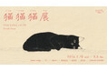 2月22日はにゃん・にゃん・にゃんの日！VINYL GALLERY vol.120 GROUP SHOW『猫猫猫(にゃんにゃんにゃん)展』