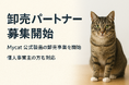 猫との暮らしを、もっと豊かに。Mycat、主力製品の卸売事業を開始 ─ 小売店・EC事業者・個人事業主のパートナーを募集