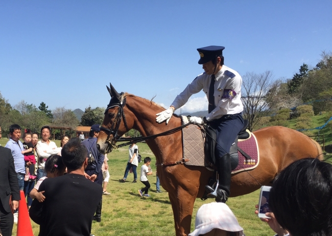 京都府警察平安騎馬隊による乗馬体験