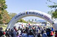 ウェルビーイングをテーマにした運動会競技によるスポーツの祭典 『UNDOKAI WORLD CUP 2024』11月1日~3日開催