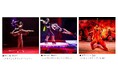 世界トップレベル16名のパフォーマーが淡路島に集結！ 『Awaji Art Circus 2026』10月17日より開幕