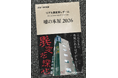 GWの書泉グランデ（神保町）に異変が発生！【累計9,000名参加】のリアル異変探しゲーム『嘘の本屋　2026』を今年も開催‼　夜は『閉店後の噓の本屋』がお化け屋敷に!?