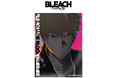 TVアニメ『BLEACH 千年血戦篇』第1クールの資料を収録した「TVアニメ『BLEACH 千年血戦篇』Animation Works」が、7月15日より発売！