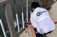 OUGグループ、大阪湾のトラフグ稚魚放流事業に参加
