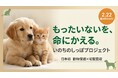 【猫の日】不用品で保護猫を救う「いのちのしっぽ」開始