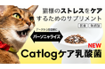 農研ワンヘルス、国内最大級の乳酸菌ライブラリから選び抜かれた乳酸菌を飼い猫へ。Catlog®データから各飼い猫に個別化された『Catlogケア乳酸菌』の菌株および乳酸菌サプリメントを提供開始!