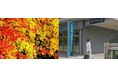 【フォーポイント フレックス by シェラトン】秋限定!紅葉を堪能する旅に出かけよう。紅葉宿泊プランを販売開始