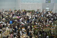 開催迫る｜前回約5,000人を動員した植物イベント「Collect Plants」第2回、熊本で5/9-10開催