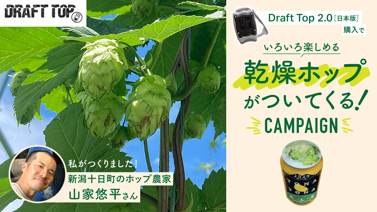 ビール缶オープナー「Draft Top 2.0」を購入された方に採れたて乾燥ホップをプレゼント【数量限定】