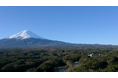 【ヒルナンデス！紹介】富士箱根伊豆国立公園の広大な森で「心身をリカバリー」。最新スイートルームがフジプレミアムリゾートに誕生。
