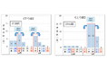 NEXCO西日本管内の年末年始期間における高速道路の渋滞予測について