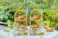 【MUNI KYOTO】緑鮮やかな嵐山で愉しむ新緑アフタヌーンティー「Riverside Afternoon Tea ~vert frais~」季節限定登場