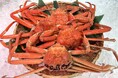 【道の駅 うみてらす名立】冬海の恵み 本ズワイ蟹と寒ブリの饗宴！12月27日より冬の二大王者を味わい尽くす季節限定イベント