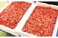【新潟県上越市】「海の甘さ」と「まちの甘さ」が一堂に名立産甘えび×上越地域8店舗の和菓子「「甘い誘惑！甘うまフェア」開催