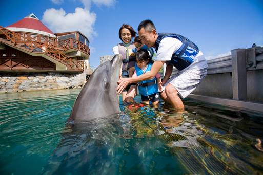 イルカにふれる 塩づくり体験 など子供と楽しむ沖縄3泊4日間 東京発着 沖縄観光無料体験ツアー第2弾 家族部門 12月25日 金 より募集開始 一般財団法人 沖縄観光コンベンションビューローのプレスリリース