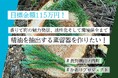 長野県山ノ内町が挑む、香りによる町の魅力発信・まちづくり―地域未利用資源をアップサイクルしたシティフレグランス作り、寄付型クラウドファンディングを開始