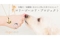 動物保護団体様が保護、飼育する保護犬・保護猫の「鼻紋」を通して活動を支援「マリーゴールドプロジェクト」が始動