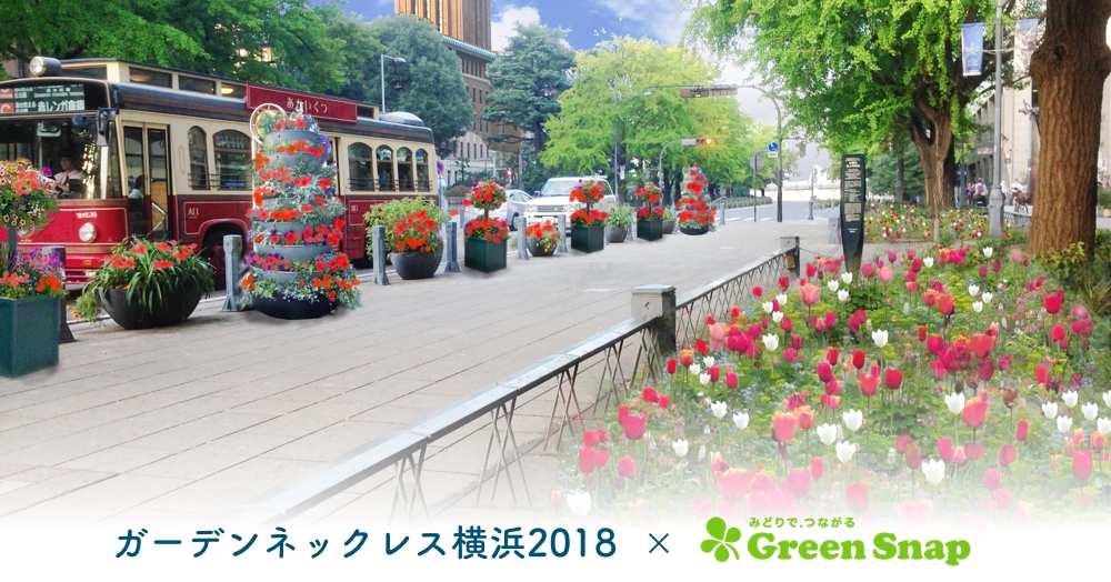 3月24日から開催！花と緑のイベント「ガーデンネックレス横浜2018」にて植物コミュニティアプリ「GreenSnap」が横浜市と連携します。