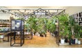 アヤハディオ吉祥院八条店　リニューアル　― 植物売場の拡張とDIY・生活用品の充実で、より魅力的な店舗へ ―