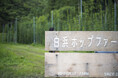 東北大学・東京農業大学・株式会社イーチ・アザーの三者共同研究を始動 石巻市北上町のホップ圃場で「草生栽培」実証実験スタート