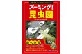 一年中、生きた昆虫や繁殖のための育成施設が見られる昆虫園の疑問や不思議を解き明かす、小学校での調べ学習にも役立つ――『ズーミング！昆虫園』発刊！