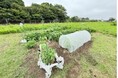 地域おこし協力隊から会社設立、二期目で売上6,300万円を達成!