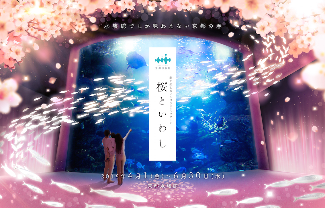 春の京都水族館に桜が舞う いわしと桜の饗宴をデジタルを駆使して演出 ワントゥーテンのプレスリリース