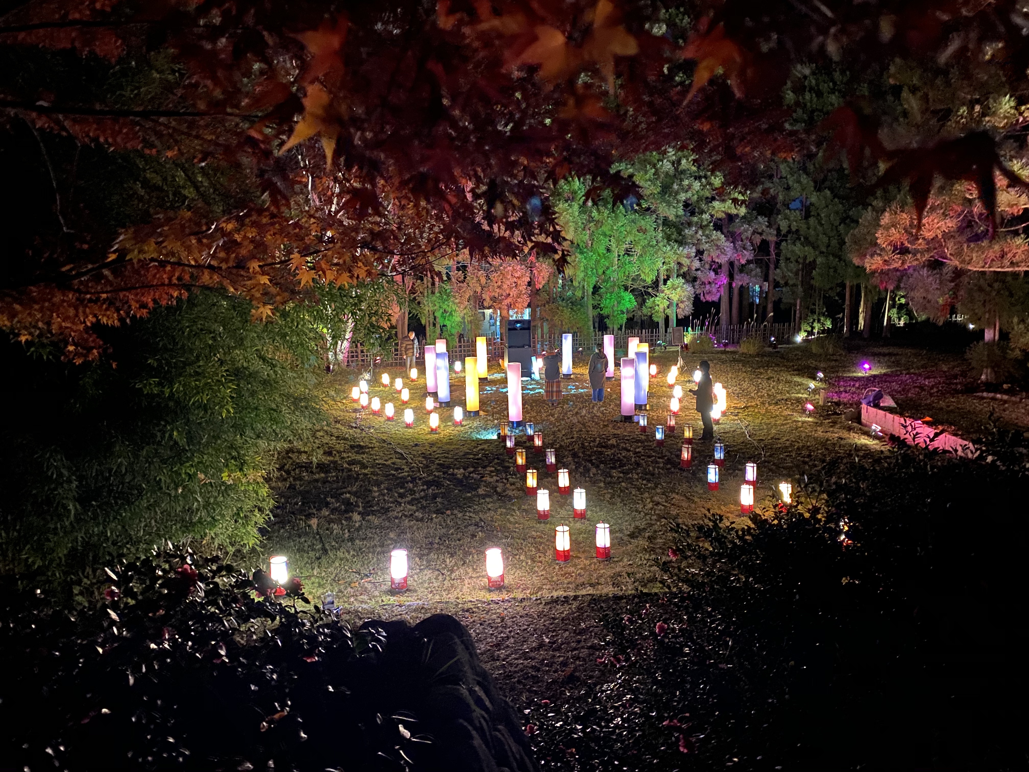 ワントゥーテン 京都 嵐山 花灯路 19にて 小倉百人一首をテーマにしたインスタレーション 四季の灯りと戯れる 歌詠みの杜 を演出 ワントゥーテンのプレスリリース