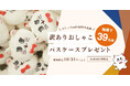 【“訳あり”だけど、むしろレア!?】コスメ通販「おしゃれcafe」16周年企画第1弾、看板猫「おしゃこ」の“ちょっとワケあり”パスケースを抽選で39名様にプレゼント!