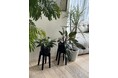 導入費用0円&月1回訪問!サブスク型植物メンテナンスサービス「植物のお医者さん」横浜で提供開始