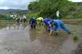 【福島県浪江町】営農再開へ向けて!! 「令和8年度 津島地区水稲試験栽培(田植え)」を実施します。