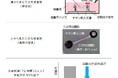 神戸学院大学×大阪工業大学　炎症が筋力を弱める仕組みの一端を明らかに