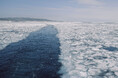 北海道観光機構のSNSで、『 北海道の冬を満喫!砕氷船で巡る感動の流氷観光』の情報を海外に発信!