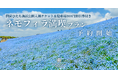 〈ネモフィラの絶景×日本初の泊まれる植物園〉国営ひたち海浜公園入園チケット付き「ネモフィラ満喫プラン」販売開始