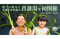 端午の節句に茨城県産菖蒲の「菖蒲湯」を初開催！東日本第1位受賞「おふろcafé りんねの湯」5月4日〜6日にて