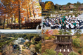 【茨城県那珂市】来園者20万人突破、日本初の"泊まれる植物園"『THE BOTANICAL RESORT 林音』が開業1周年へ2年目は季節の中で"やすらぎ見つける"1泊2日を。