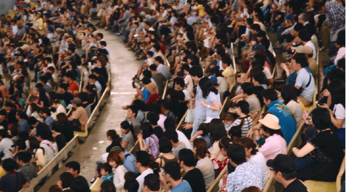 突然のサプライズに彼女号泣 海の動物たちも総出で祝福 アイプリモ 横浜 八景島シーパラダイス シーパラプロポーズ プリモ ジャパン株式会社のプレスリリース