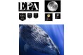 日本を代表するフォトグラファー右近倫太郎が、国際フォトコンテスト「PX3 (Prix de la Photographie Paris) 2025」プロフェッショナル部門でGOLD WINNERを受賞