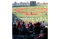 知的障がい者ソフトボール「ハンズホールディングスCUP　　 2026」開催概要決定