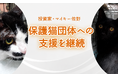 投資家・マイキー佐野、保護猫団体「NPO法人しっぽの約束」の支援を継続。7月度は過去最多24匹の譲渡を達成