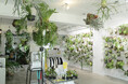 植物愛好家の聖地「vandaka plants GALLERY TOKYO」恵比寿に路面店として新たにオープン