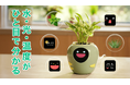 AI×センサーで植物と繋がる。表情でお世話を伝えるPlantbot【日本初上陸】