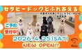 地域×介護×動物がつなぐ新しい交流拠点大型犬ふれあいカフェ「セラピーメイト世田谷店」4月25日（土）オープン