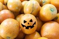 「選ばれなかった果物たちが、選ばれる日」規格外が主役のハロウィン