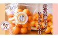 「勤労感謝の日」は、きんかんの日。働く人に感謝を伝える"金柑ギフト"を限定販売