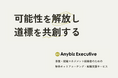 Anybiz合同会社、「キャリアの踊り場」に悩む事業リーダー層・エグゼクティブ人材向けの転職エージェント事業「Anybiz Executive」を開始