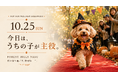 ハロウィン ドッグ イベント“ 愛犬と健康に♪ ” 鼻・頭・身体を使って遊ぶ「WELLNESS HALLOWEEN」那須で10月25日（日）開催。　10/1～31 愛犬とマンスリーで楽しめる体験も！