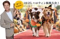 【PAW 初！】HappyワンDayフェスタ♪ウェルネス Halloween！愛犬の“心と身体”を整える10月25日、那須の森で「五感を使うトレジャーハント」や 「 愛犬♪ハロウィン仮装大会」を開催♪