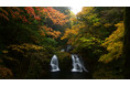 三重・赤目四十八滝で紅葉が見頃へ！夜は「三重赤目 滝あかり」ライトアップで幻想の渓谷体験